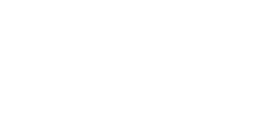 Bueno Shoes